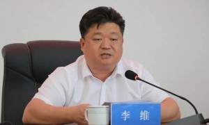 厅官李维,被撤职